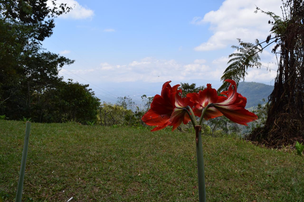 Mirador Valle Del General La Ese Экстерьер фото