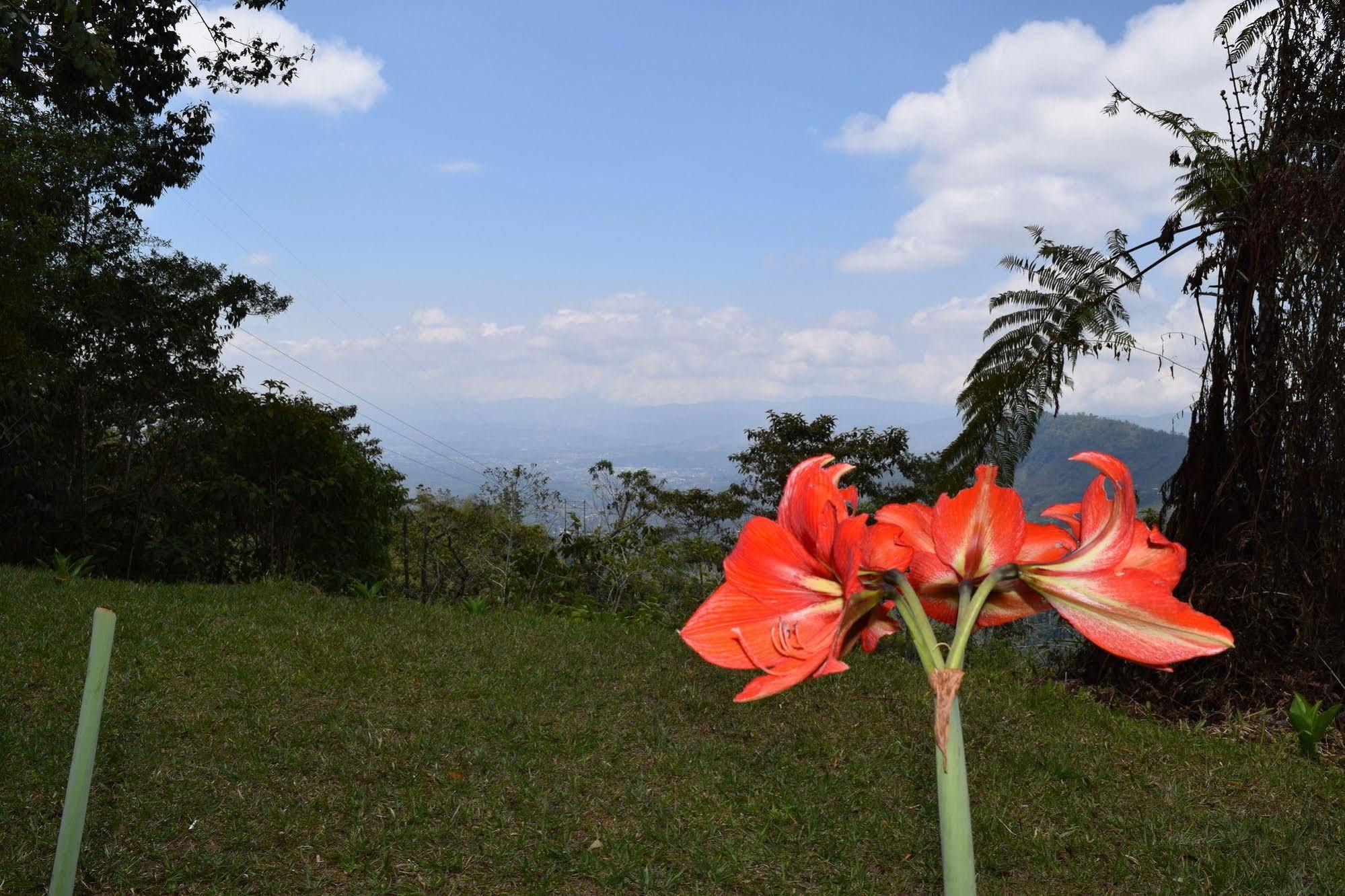 Mirador Valle Del General La Ese Экстерьер фото